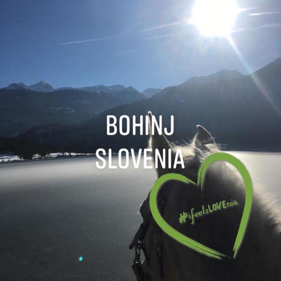 Ucni Ranc, Bohinj Appartement Buitenkant foto