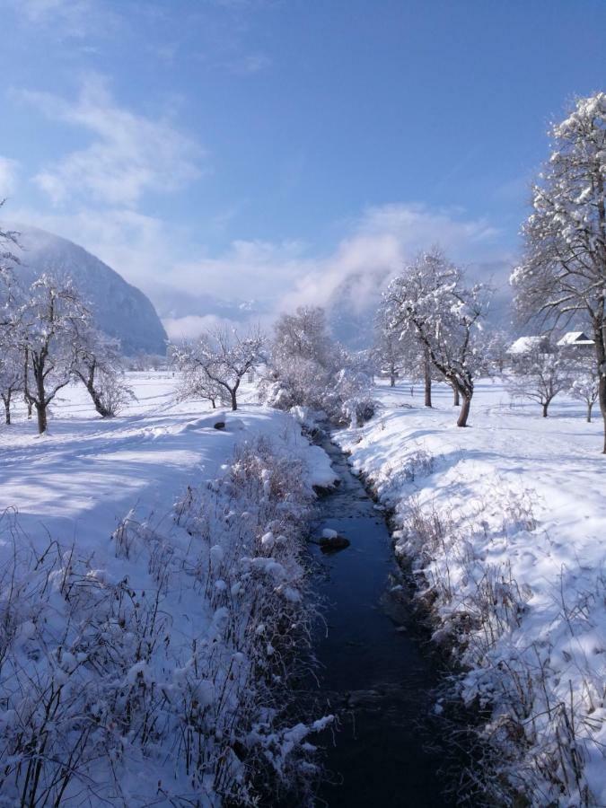Ucni Ranc, Bohinj Appartement Buitenkant foto