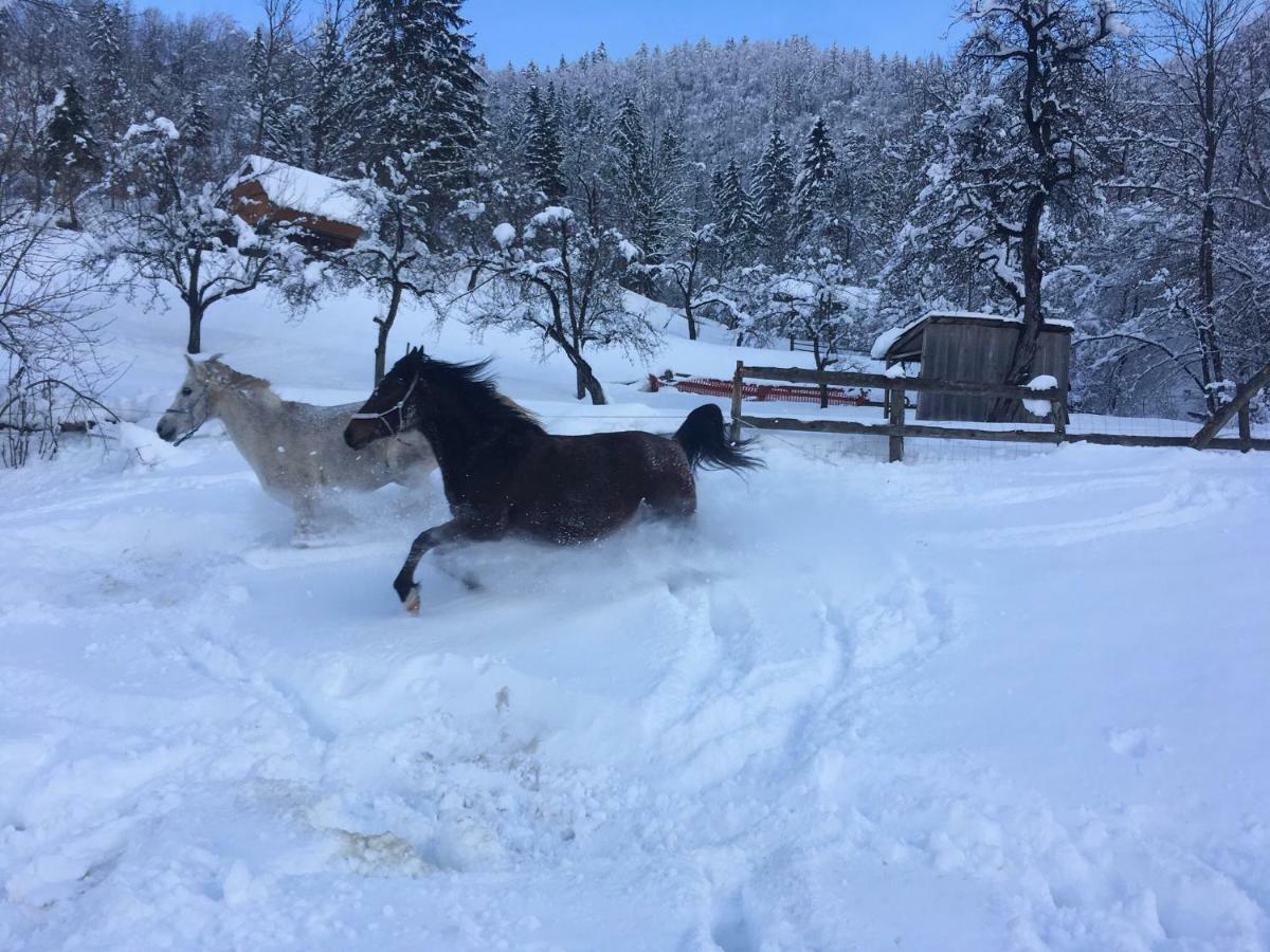 Ucni Ranc, Bohinj Appartement Buitenkant foto
